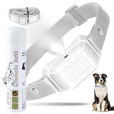 5 Benefits of Using a Citronella Bark Collar for Your Dog