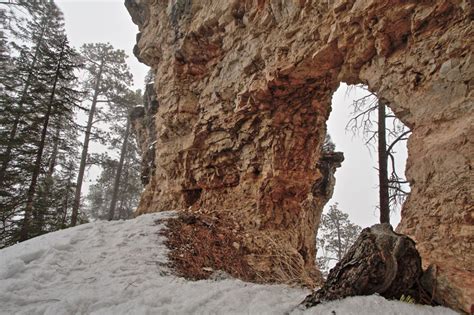 Spearfish Canyon in Winter