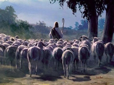 Good Shepherd Sunday