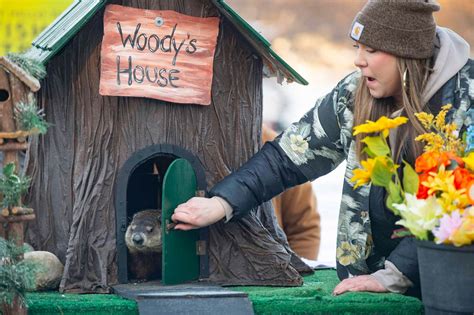 Sick of winter? You’re in luck. Woody, Michigan’s official groundhog ...