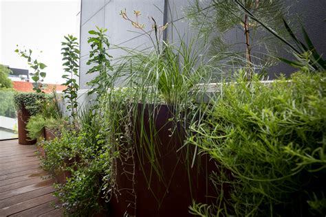 Balcony garden - small spaces GARDEN DESIGN