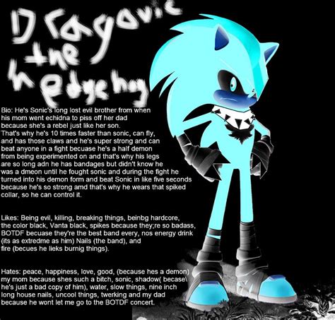 Top Five Sonic OCs #2 | Sonic The Hedgehog! Amino