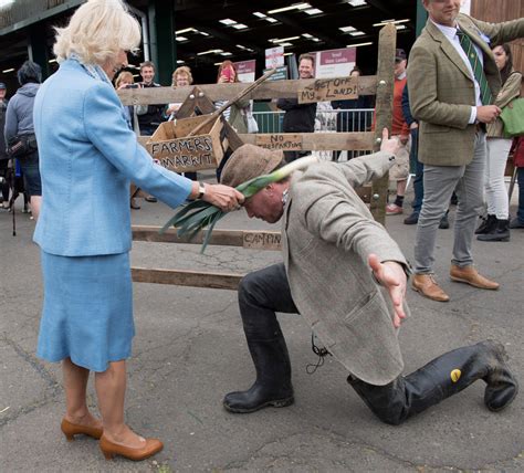 Prince Charles, Camilla Celebrate 10th Anniversary: Photos