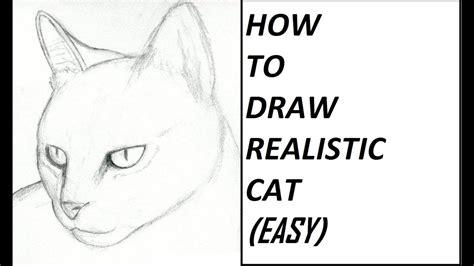 How do you draw a cat - datingjnr