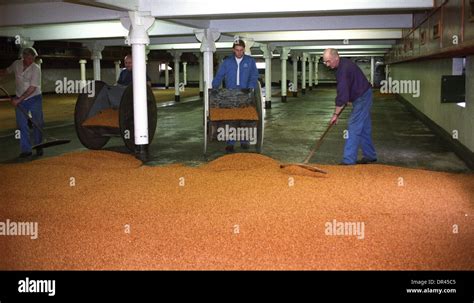 Floor malting hi-res stock photography and images - Alamy