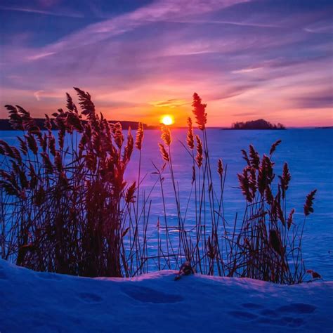 Winter Snow Sunset Wallpaper