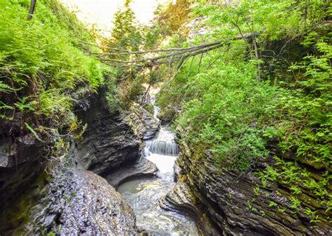 Wine & Waterfalls around Seneca Lake, New York | Flying Fourchette