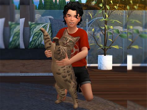 The Sims Resource - Adorable cat (Pose pack)