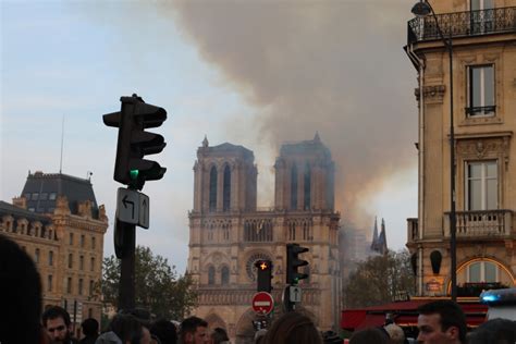 Notre Dame Is Burning | Peacock Plume