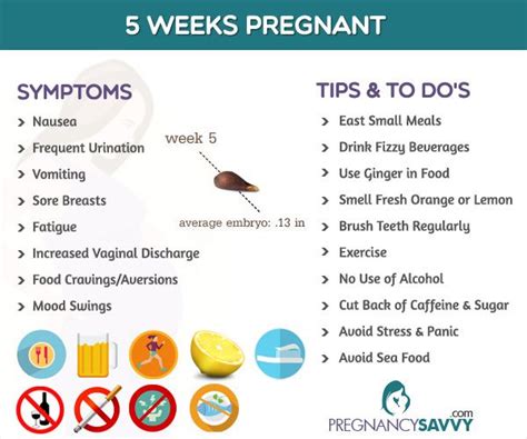 32 best Pregnancy Weeks images on Pinterest | Knowledge and Visual schedules