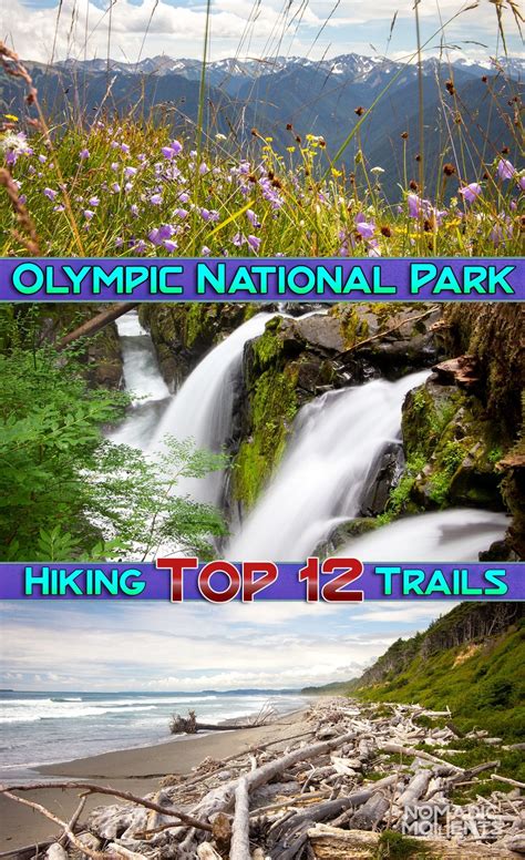 Hiking Olympic National Park - Top 12 Trails - Nomadic Moments