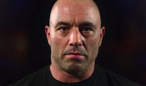 $100 Million Deal Sees Joe Rogan's Podcast Become A Spotify Exclusive—In Both Video And Audio ...