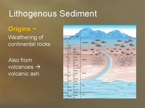 Marine Sediments Sediment Classification All sediment classification is