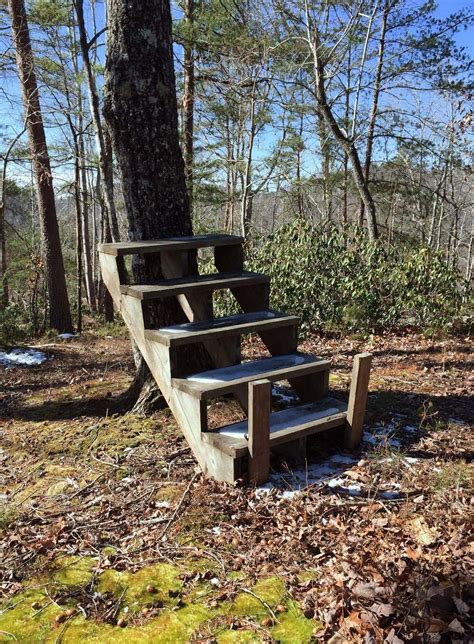 10+ Mysterious Random Staircases in the Woods From Reddit