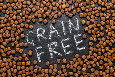 7 Grain-Free Dog Foods For Pups With Allergies