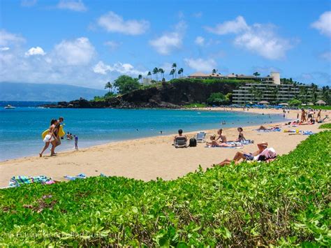 Kaanapali Beach & Black Rock Snorkeling Secrets! Local Insider Advice!