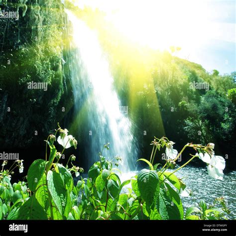 Waterfall in jungle Stock Photo - Alamy