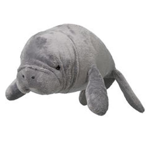 Dugong | Species | WWF