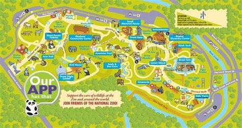 Visit the Smithsonian's National Zoo | Zoo map, Dc zoo, Washington dc ...