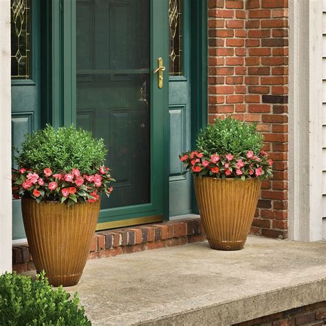 Best Plants For Pots Outside Front Door