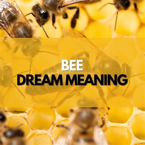 10 Bee Dream Meanings (Explained) - Symbol Genie