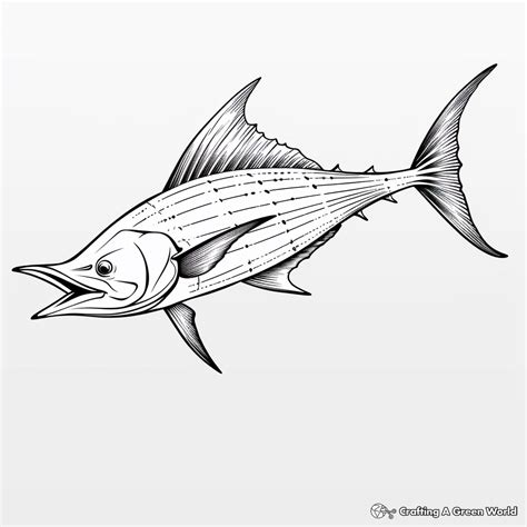 Marlin Coloring Pages - Free & Printable!