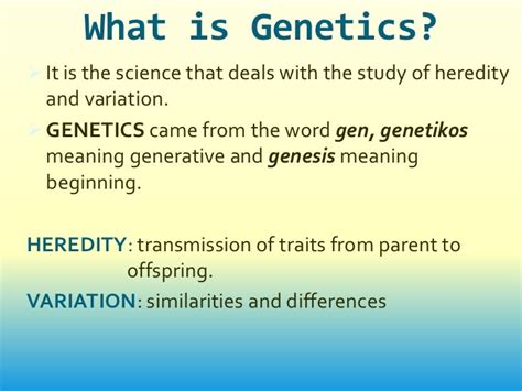 Introduction to Genetics