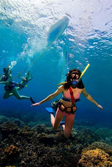 Shoreline SNUBA in Maui, HI | Private SNUBA Diving Tours