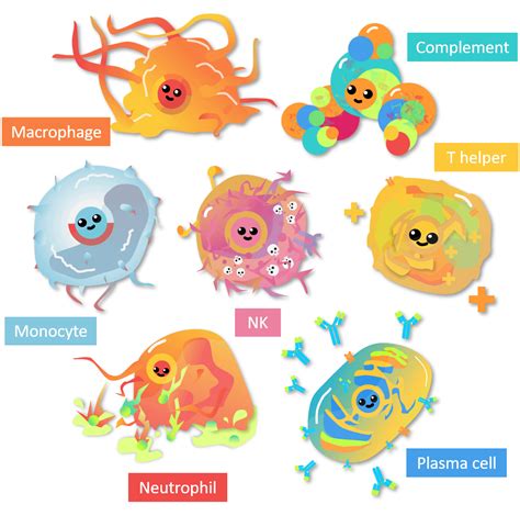 Immune cells fan-art: early Kurzgesagt’s style + realistic features : r ...