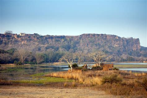 Ranthambore National Park India: Complete Travel Guide