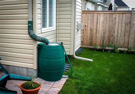 How to Set Up a Rainwater Filtration System the Right Way