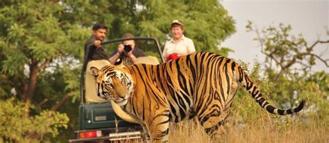 Pench National Park