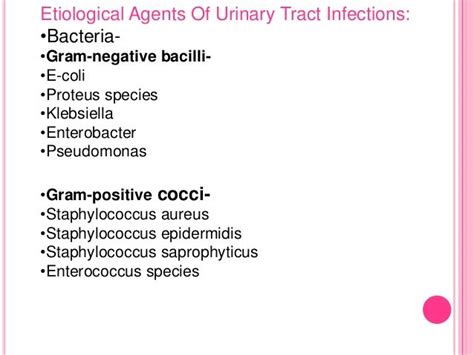 bacteria in urine culture negative