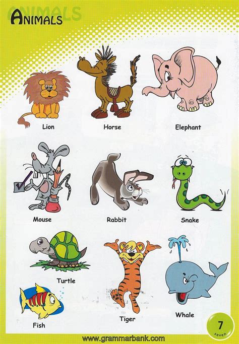 Animals Vocabulary For Kids