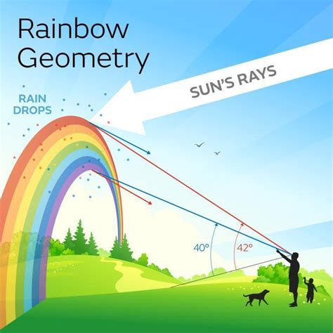 Rainbows are formed because all colors of light bend the same amount when they enter a - Brainly.com