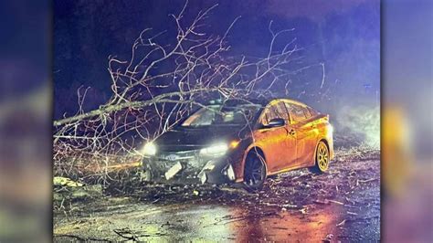 Major storm downs trees, power lines across Massachusetts - Boston News ...