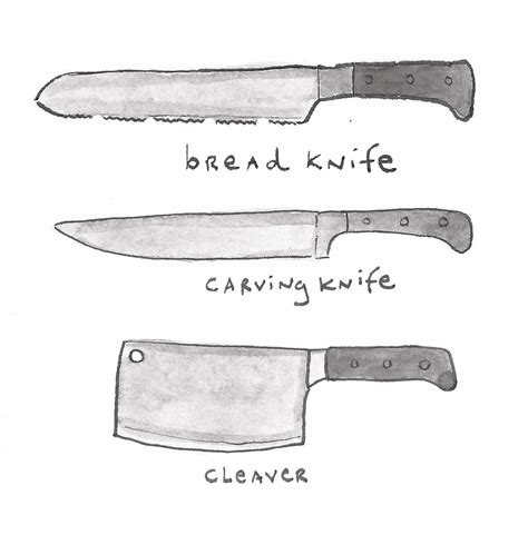 Different Types of Knives: An Illustrated Guide | Craftsy