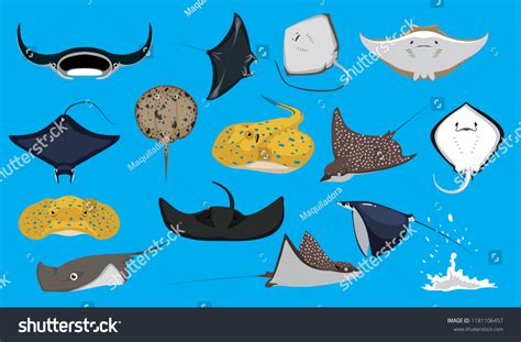 6,738 Cartoon Stingray Images, Stock Photos & Vectors | Shutterstock