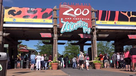 People Entering Columbus Zoo Aquarium 4k Stock Footage SBV-302471548 - Storyblocks