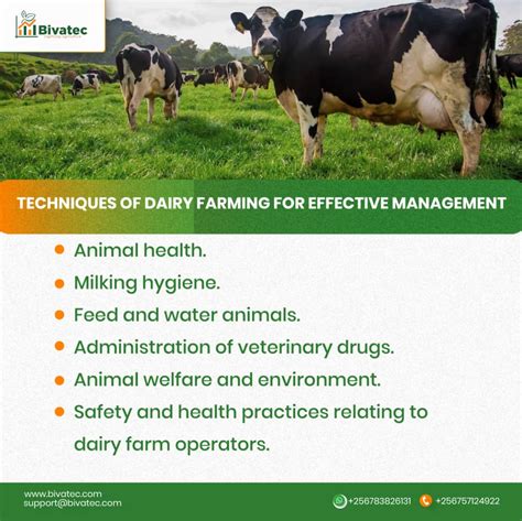 Achieving Excellence in Dairy Farming: Key Principles for Livestock Production