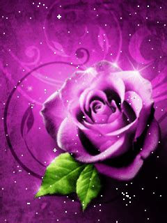 Animated Beautiful Flowers Wallpapers For Mobile
