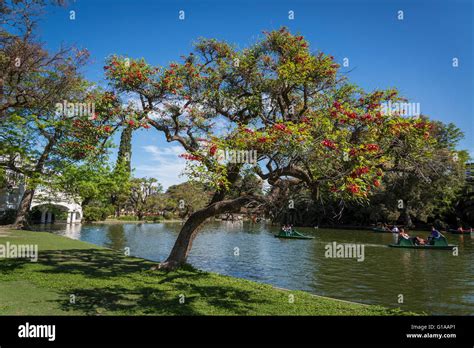 Rose Garden, Rosedal, Parque Tres de Febrero, Bosques de Palermo or ...