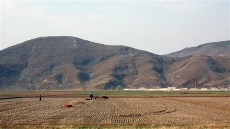 North Korea’s Devastating Famine | HISTORY