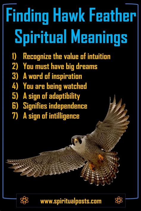 7 Spiritual Meanings of Finding Hawk Feather & Symbolism | Spiritual Posts