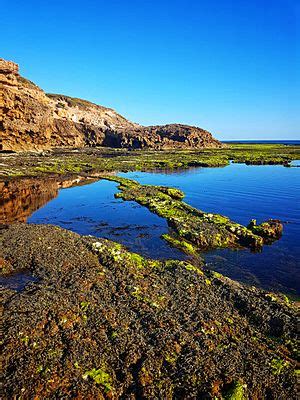 Mornington Peninsula National Park Facts for Kids