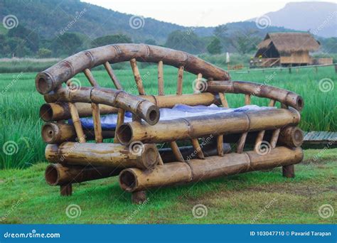 Bamboo Bench on the Lawn Surrounded by Fields. Stock Photo - Image of ...