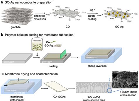 Cellulose acetate membrane embedded with graphene oxide-silver nanocomposites and its ability to ...