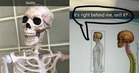 These Spooky, Scary Skeletons Will Get You Hype for Halloween - Memebase - Funny Memes
