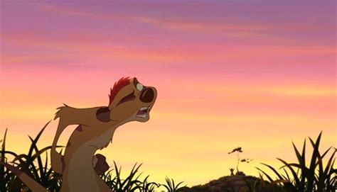 Pin by Claire Washbrook on lion king | Lion king timon, Lion king 1, Disney films