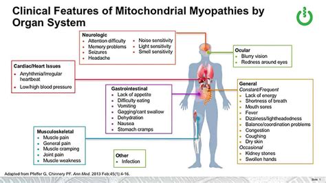 Mitochondrial Disease Symptoms - MitoAction